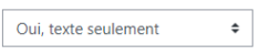 Montrer le texte de la question dans la liste des questions ?